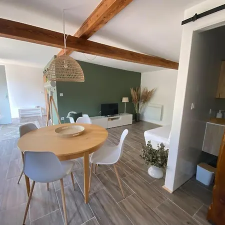 Vogelau Apartment Schiltigheim